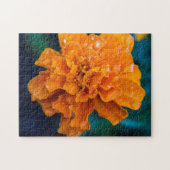 Orange Marigold Puzzle (Horizontal)