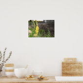 Orange Mullein Flowers Poster (Keuken)