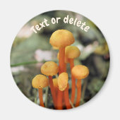Orange Mushrooms Nature Personalized Magneet (Voorkant)