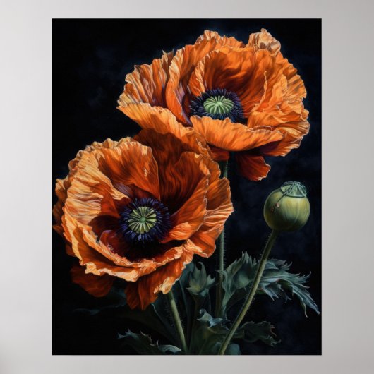 Orange Oriental Poppy Fleurs Art Imprimer Poster (Devant)