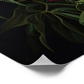 Orange Peonies Flower Art Imprimer Poster (Coin)