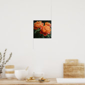 Orange Peonies Flower Art Imprimer Poster (Cuisine)
