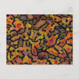 Orange Petrified Dinosaur Bone Briefkaart