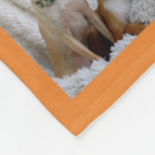 ORANGE Photo Couverture Collage Instagram Gold (Coin)