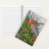 Orange Poppies Journal (À l'intérieur)