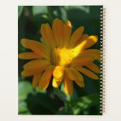 Orange Pot Marigold Fleur personnalisée (Dos)