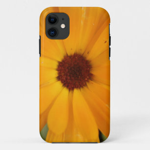 Orange Rain Daisy iPhone 5 Coque