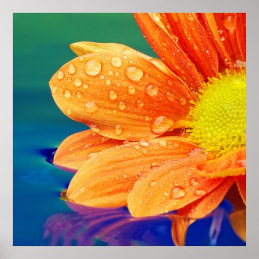 Orange Raindrops Photograph Poster (Devant)