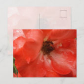 Orange Rose Postcard Briefkaart (Voorkant / Achterkant)