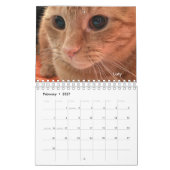 Orange Tabby Cat 2024 Calendrier avec mots POLISH (Feb 2027)
