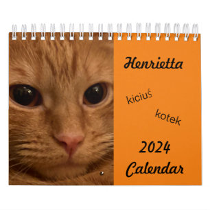 Orange Tabby Cat 2024 Calendrier avec mots POLISH