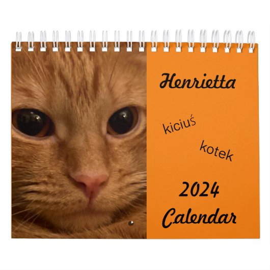Orange Tabby Cat 2024 Calendrier avec mots POLISH (Protection)
