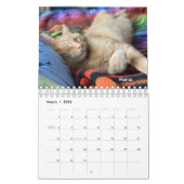 Orange Tabby Cat 2024 Calendrier avec mots POLISH (Mar 2026)