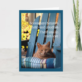 Orange Tabby Cat on Blue Chair Card Kaart