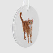 Orange Tabby Cat Standing Ornament (voorkant)