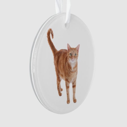 Orange Tabby Cat Standing Ornament (voorkant)