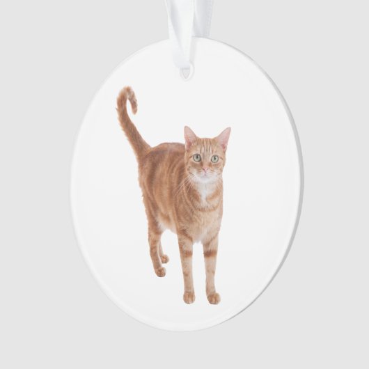 Orange Tabby Cat Standing Ornament (voorkant)