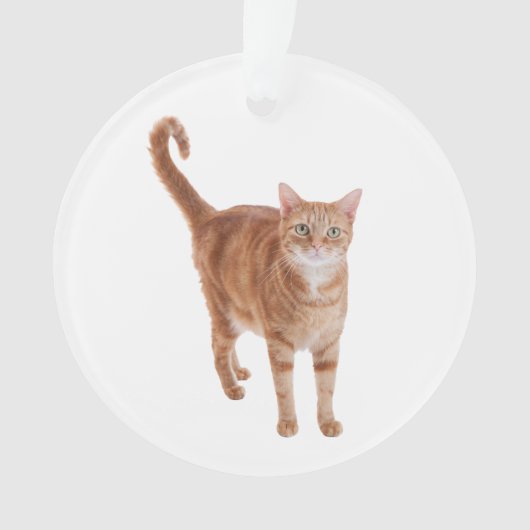 Orange Tabby Cat Standing Ornament (voorkant)