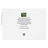 Orange Tabby Kitten (Dos Horizontal)