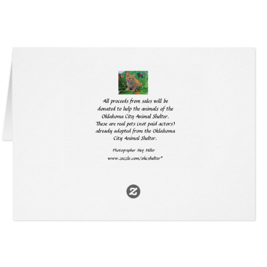 Orange Tabby Kitten (Dos Horizontal)