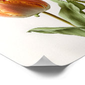 Orange Tulips Flower Art Imprimer Poster (Coin)