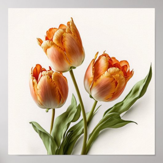 Orange Tulips Flower Art Imprimer Poster (Devant)
