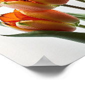 Orange Tulips Flower Art Imprimer Poster (Coin)