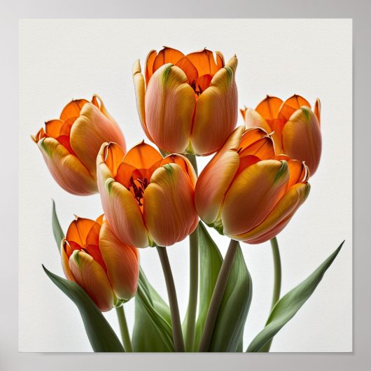 Orange Tulips Flower Art Imprimer Poster (Devant)