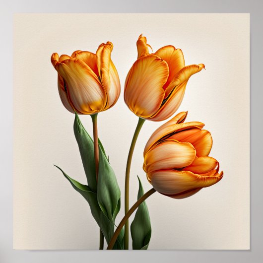Orange Tulips Flower Art Imprimer Poster (Devant)