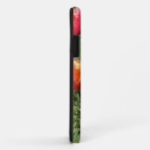 Orange Tulips iPhone 5 coque (Dos/Droite)