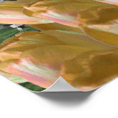 Orange Tulips Mill Holland Poster Art (Coin)