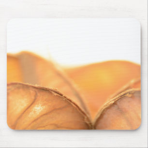 Orangene Frucht Muismat