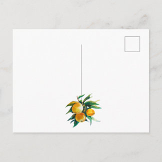 Oranges and flowers postcard briefkaart