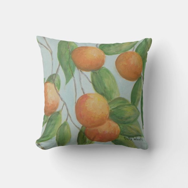 ORANGES de coussin de la FLORIDE (Recto)