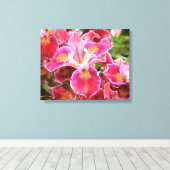 Orangish Pink Iris Canvas Afdruk (Insitu (Houten vloer))