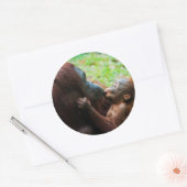 Orangutaanse moeder en baby ronde sticker (Envelop)