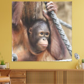 OrangUtan 002 Canvas Afdruk (Insitu (Woonkamer))