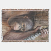 OrangUtan 002 Deken (Voorkant)