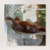 OrangUtan 2020-03-01 Legpuzzel (Horizontaal)