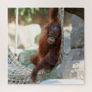 OrangUtan 2020-03-01 Legpuzzel