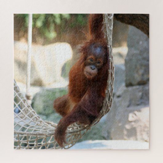 OrangUtan 2020-03-01 Legpuzzel (Verticaal)