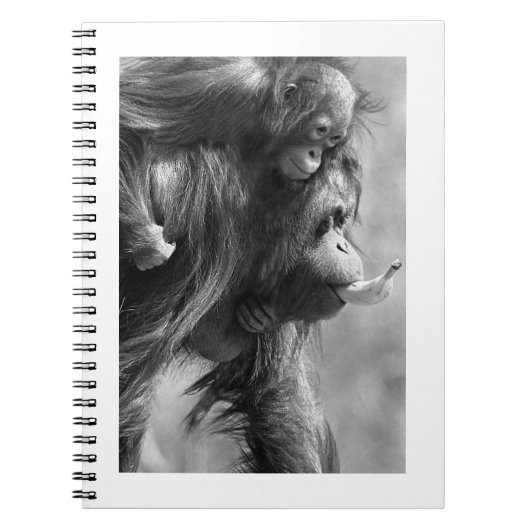 Orangutan#8-laptop Notitieboek (Voorkant)