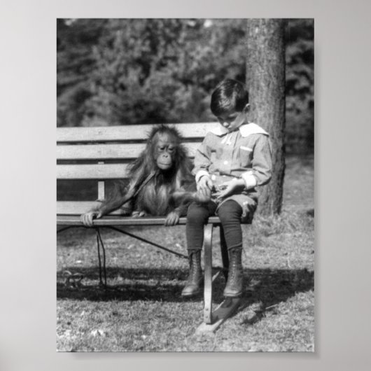 Orangutan and Boy - National Zoo Poster (Voorkant)