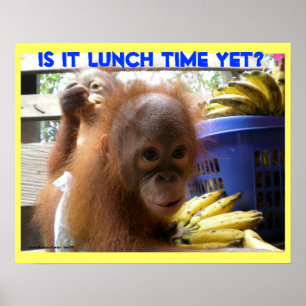 Orangutan Babies Lunch Poster