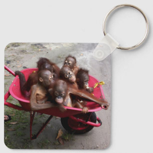 Orangutan Babies Sleutelhanger