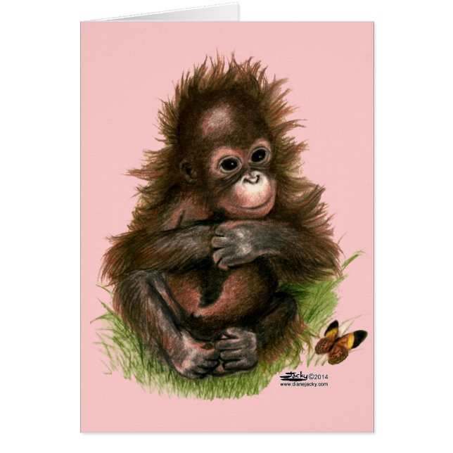Orangutan Baby en Butterfly (Voorkant)