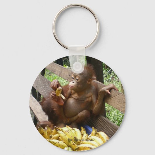 Orangutan Baby in BorneoButton Sleutelhanger (Voorkant)
