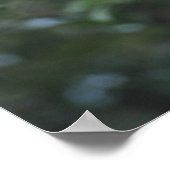 Orangutan Baby Klim Liana Poster (Hoek)