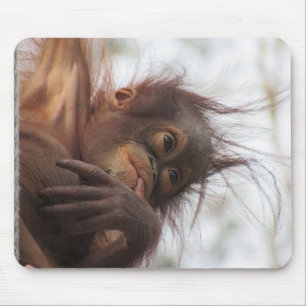 Orangutan Baby Mousepad Muismat