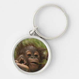 Orangutan Baby Sleutelhanger